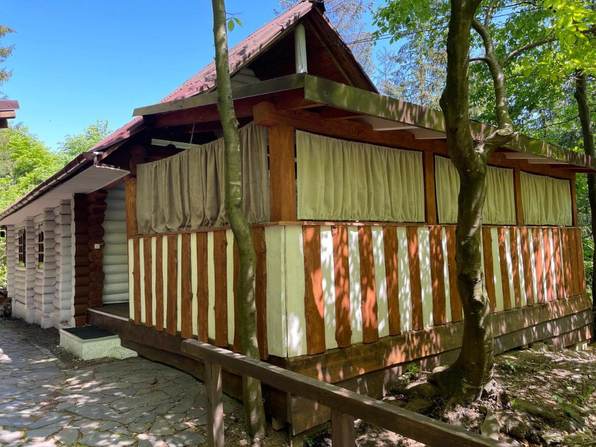Grunok (Adults Only) Otel Pilipets Dış mekan fotoğraf